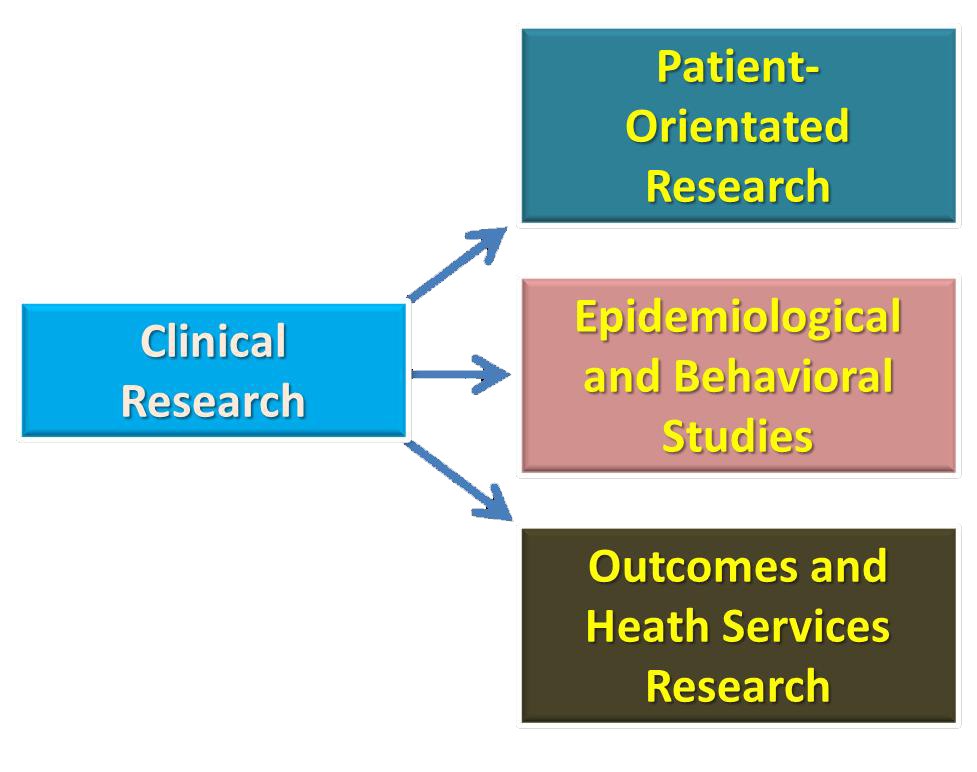 Case Study Ontology Based Medical Image Understanding